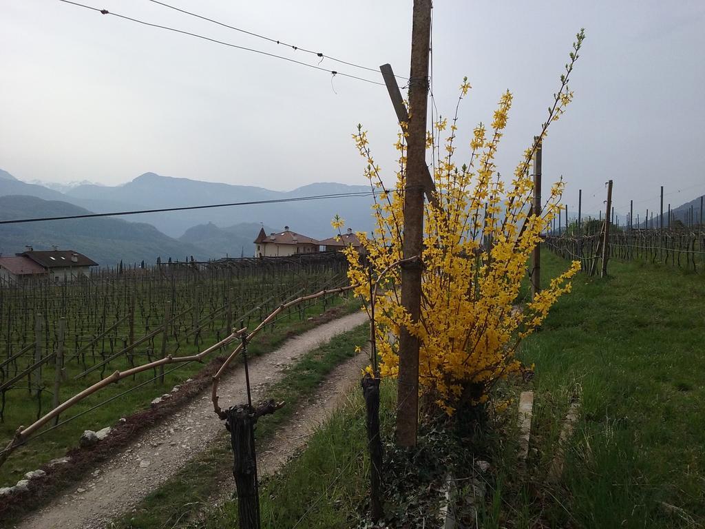 Wiesmuellerhof Caldaro Exterior photo
